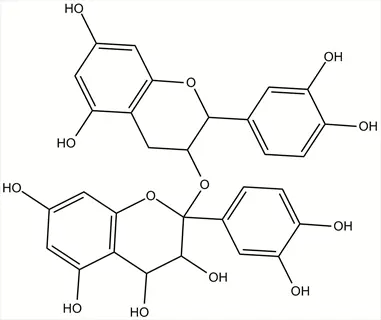 2d skeletal formula of proanthocyanidin dimer (procyanidin), showing two flavan-3-ol units linked by a c4→c8 interflavanoid bond with catechol moieties