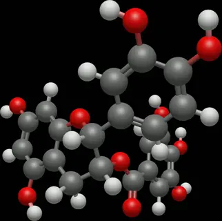 3d ball-and-stick model of epicatechin molecular structure with carbon (gray), oxygen (red), and hydrogen (white) atoms in flavonoid configuration