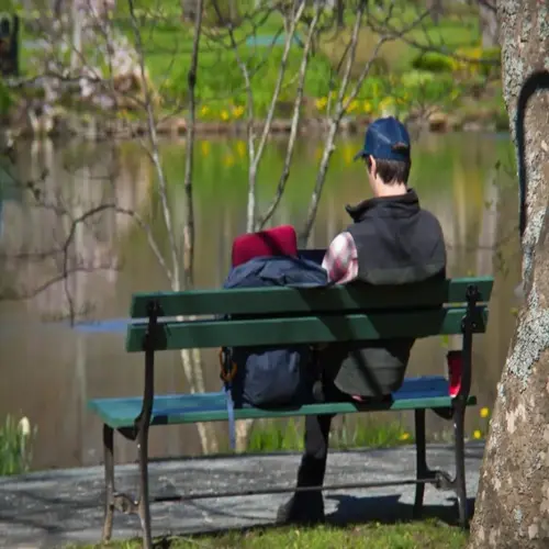 a calm person sitting alone on a green park bench beside a tree, facing a sunlit pond with spring blossoms and distant greenery