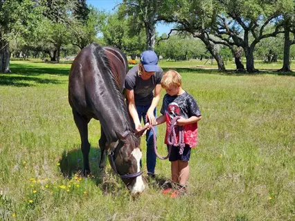 adult and child interacting with a horse during an equine therapy session in a sunny grassy field with oak trees
