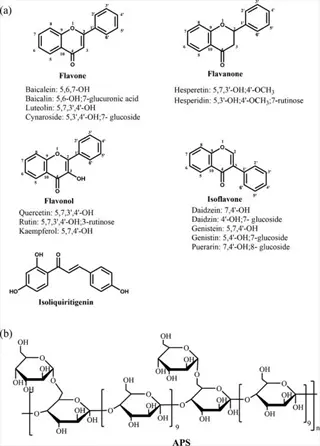 astragalus polysaccharide chains (aps) structure with repeating glycosidic units in part (b), alongside flavonoid compounds (flavone, flavanone, etc.) in part (a)
