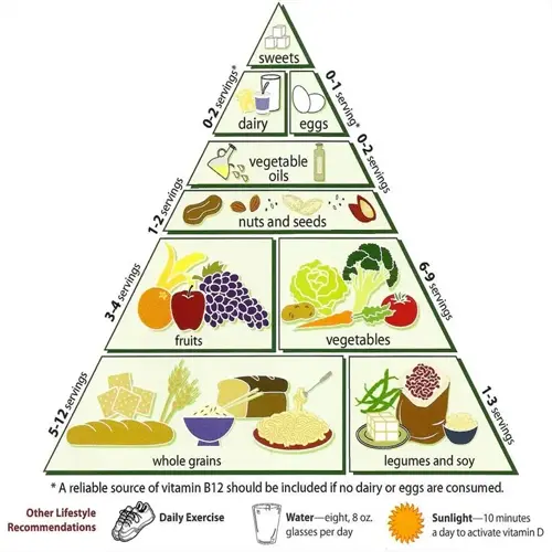 balanced diet food pyramid infographic showing food groups, serving sizes, and lifestyle recommendations