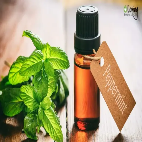 bottle of peppermint oil drops with fresh mint leaves on wooden surface - brand: loving essential oils