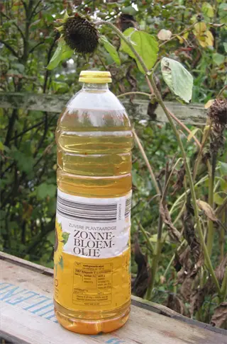 bottle of sunflower oil with a sunflower plant in the background. linoleic acid (la), an omega-6 fatty acid abundant in sunflower oil, is shown on the product label