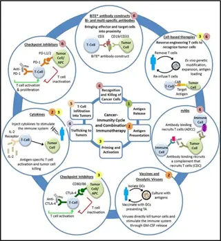 cancer immunotherapy infographic showing immune system support mechanisms: cancer-immunity cycle wheel with checkpoint inhibitors, t-cell activation, cytokines, vaccines, and cell-based therapies for immune modulation