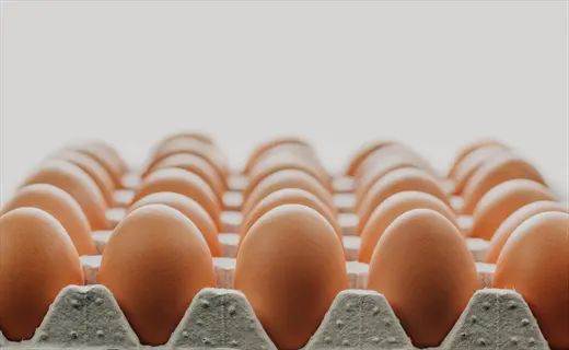 carton of organic brown eggs dozen neatly arranged in gray cardboard holder with light background