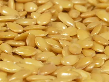 close-up of golden flax seeds, a rich source of alpha-linolenic acid (ala), an essential omega-3 fatty acid important for cardiovascular health