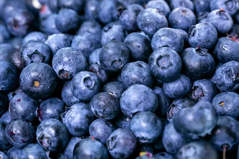 close-up of plump, fresh blueberries piled together, showcasing their deep blue hue and natural sheen