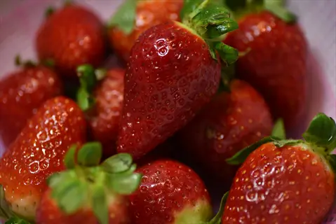close-up of ripe strawberries in a mesh bowl with dewdrops, vibrant red and green hues
