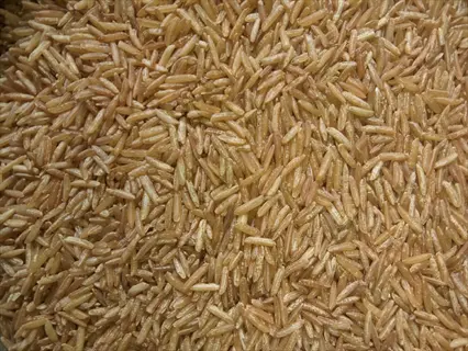 close-up of uncooked brown rice grains: light brown, slender grains densely packed together