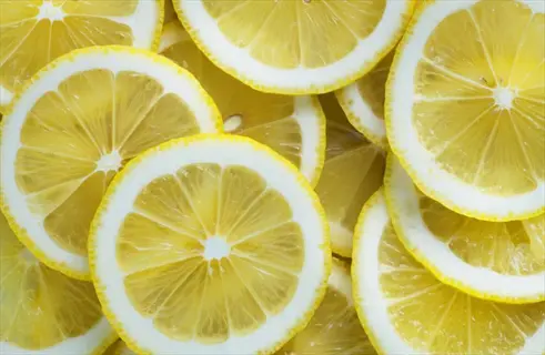 closeup of multiple fresh lemon slices showing vibrant yellow flesh and white peel rinds in overlapping arrangement