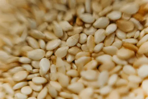 closeup of numerous sesame seeds with pale golden color and oval shape