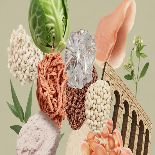 collage of essential fatty acids foods including brussels sprouts, grains, protein shreds, and legumes alongside roman aqueduct and botanical elements