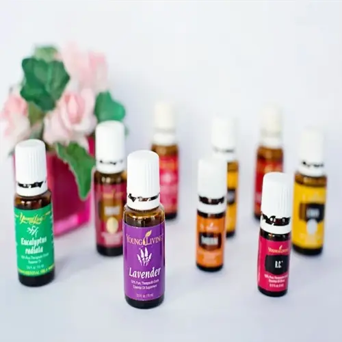 collection of young living aromatherapy essential oils bottles (lavender, eucalyptus radiata, r.c.) with a pink flowering plant on white background