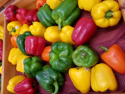 colorful bell peppers in green, red, yellow and orange arranged in wooden crate with visible price tags