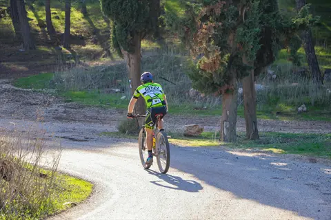 cyclist on paved bicycle riding path through sunlit forest trail with trees