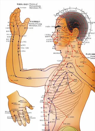 detailed acupuncture body points map showing bilateral meridian pathways (lu, pc, li) with chinese characters and english labels on human figure