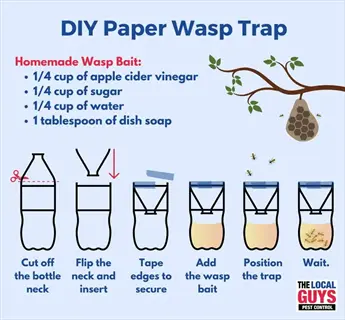 diy paper wasp trap infographic using apple cider vinegar solution as bait for pest control