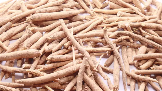 dried ashwagandha roots: light brown, branched roots in dense pile against white background