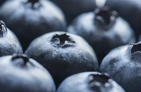 energy nutrition blueberries: close-up cluster of fresh plump blueberries with visible dewdrops and textured skins