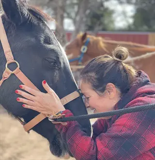 equine therapy session: woman gently touching dark horse's face in outdoor setting with other horses visible