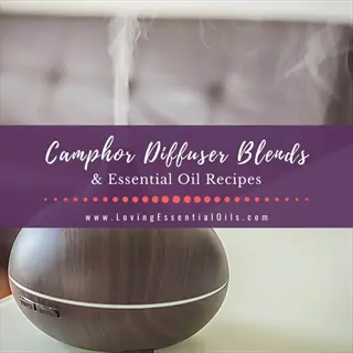 essential oil diffuser emitting mist with 'camphor diffuser blends & essential oil recipes' text overlay and source url for aromatherapy content