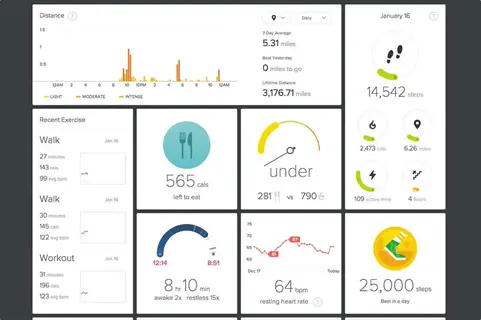 fitbit dashboard metrics interface showing daily step count (14,542), distance (5.31 miles), exercise activities, calorie tracking, and sleep analytics panels
