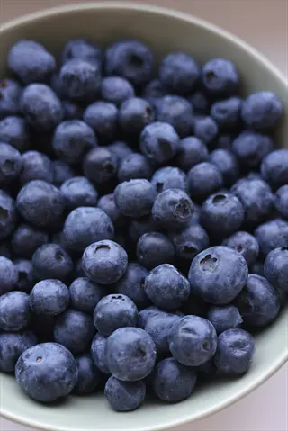 fresh blueberries bowl: light green bowl filled with plump, dark blue blueberries - antioxidant-rich superfood