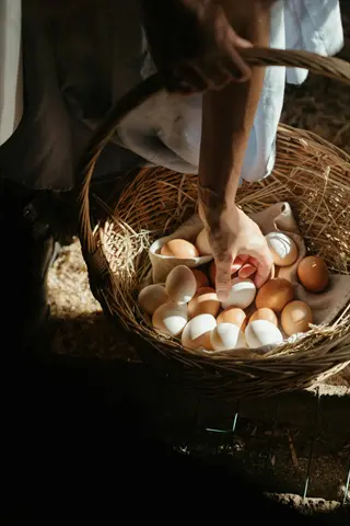 fresh eggs basket with hand reaching in, rustic farm setting