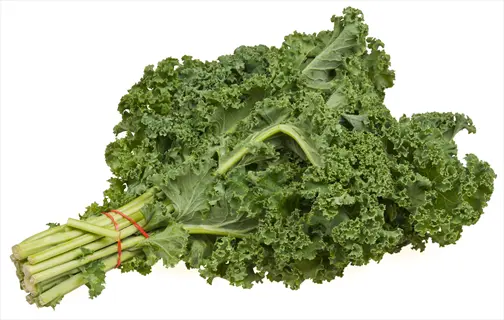 fresh green kale leaves bundle (rich in lutein) on white background