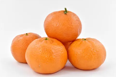 fresh oranges (citrus fruits) rich in bioflavonoids on white background