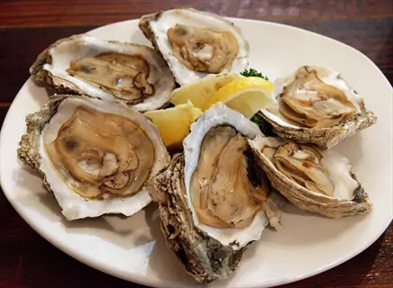 fresh oysters on a plate with lemon wedges and parsley (rich in zinc)