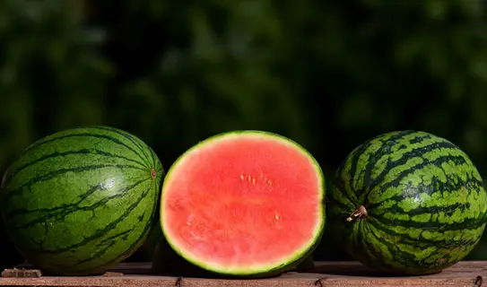 fresh watermelon fruits: two whole green-striped melons and one sliced open showing red flesh with seeds, on wooden surface against dark foliage