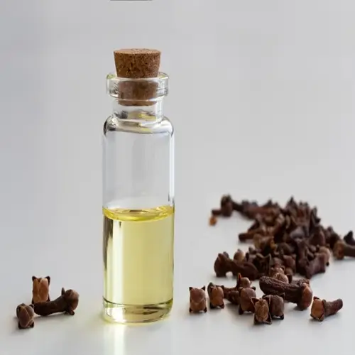 glass bottle with cork stopper containing clove oil, surrounded by dried clove buds (syzygium aromaticum)