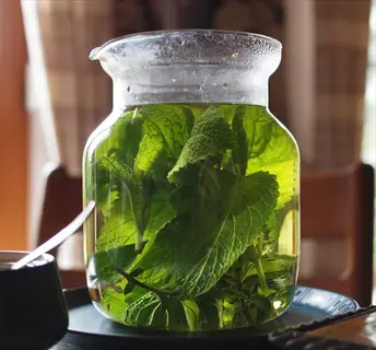 glass pitcher with steeping lemon balm tea, showcasing vibrant green leaves in herbal infusion