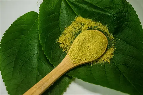 glycine powder spoon: wooden spoon holding yellow glycine powder on large green leaves against white background