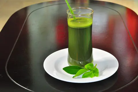 green barley juice in a tall glass on a white plate with fresh leaves, placed on a dark table surface