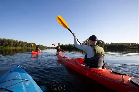 group kayaking calm water on a river with colorful kayaks, paddles, and lush trees under clear blue sky