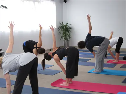 group performing standing yoga pose in synchronized hatha yoga class, studio with mats and plants