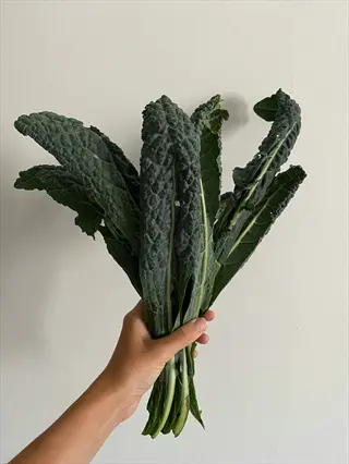 hand holding a fresh kale bunch with dark green, textured leaves against a plain light beige background