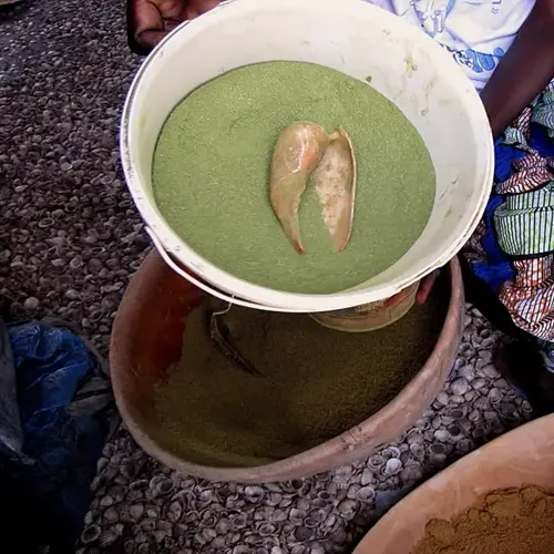 hand in patterned sleeve holding white bucket filled with green powder and shell-like scoop; large bowl of green powder below; market setting with stones and fabric