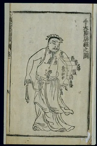 historical illustration of the lung meridian (lu series) on the hand and arm, labeled in chinese text