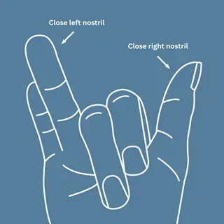 illustration demonstrating alternate nostril breathing hands technique: right thumb closes left nostril, right index finger closes right nostril with labeled arrows