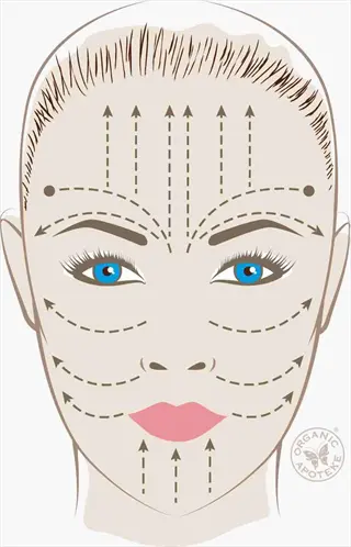 illustrative facial self massage guide showing directional arrows across facial zones for face and scalp relaxation techniques. brand: organic apotheke