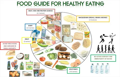 infographic of food groups wheel with serving recommendations, activity icons, and 'avoid processed foods' note - a visual guide for healthy eating habits