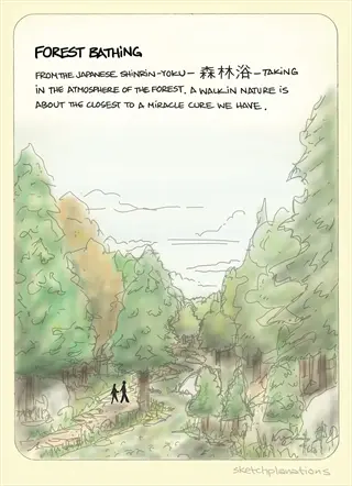 infographic on forest bathing (shinrin-yoku) showing forest path with two figures, surrounded by trees and descriptive text