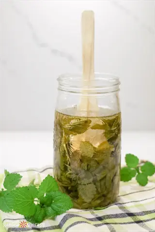 lemon balm vinegar infusing in a jar with wooden spoon, surrounded by fresh lemon balm leaves on checkered cloth - garden therapy
