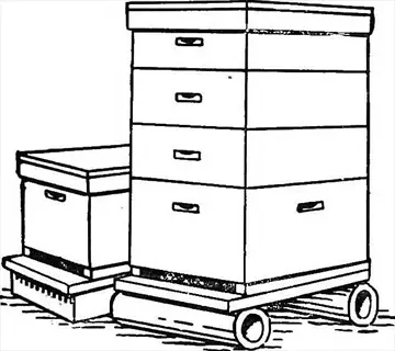 line drawing of two beehives: one single and one multi-tiered, functioning as honey storage cabinets in apiary settings