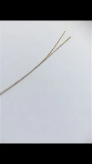 macro close-up of hair split ends on a single strand against plain light background