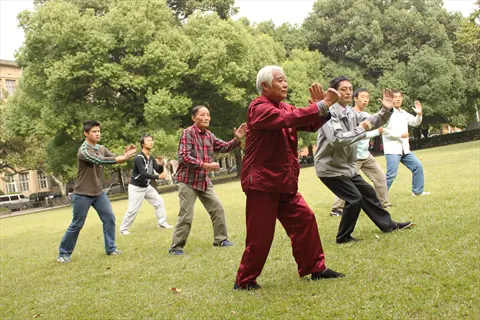 multigenerational group performing synchronized tai chi practice in sunny urban park led by elderly man in red traditional attire